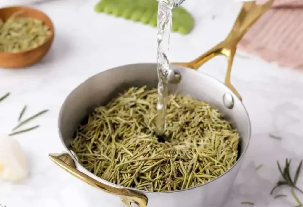 rosemary-hair-loss-1