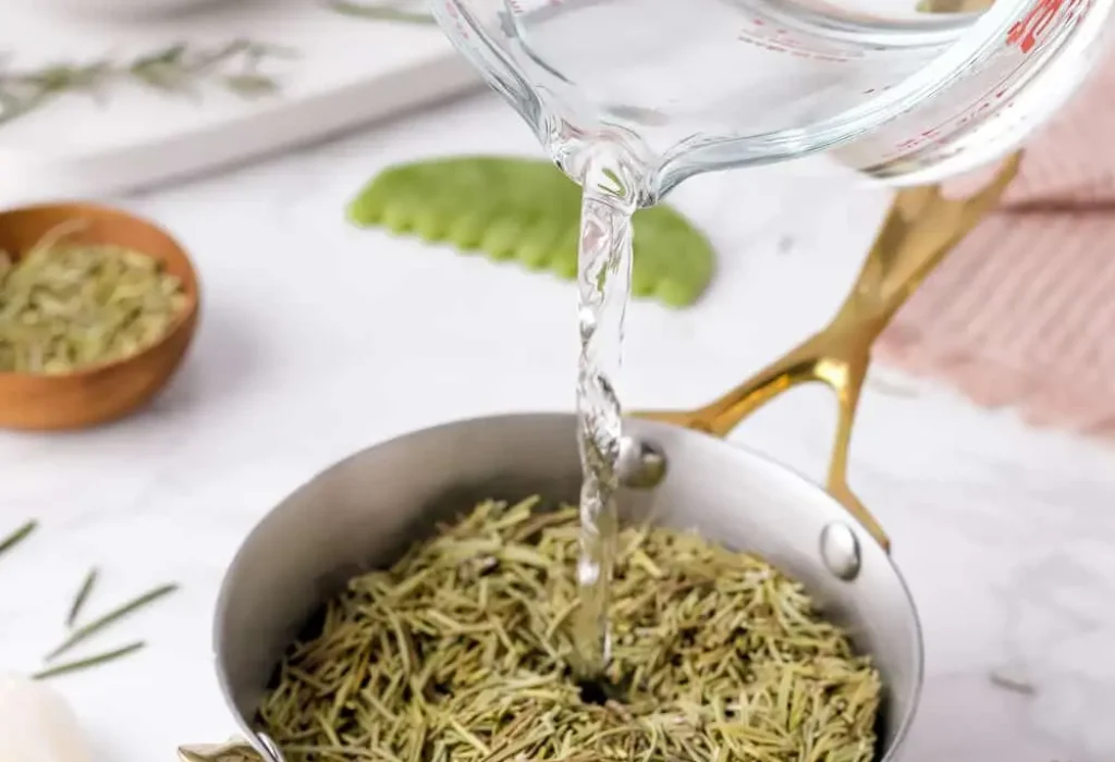 rosemary-hair-loss-1