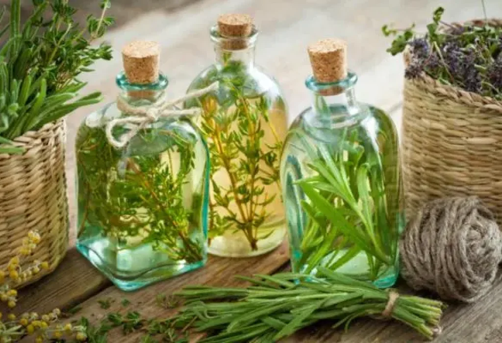 rosemary-hair-loss-2