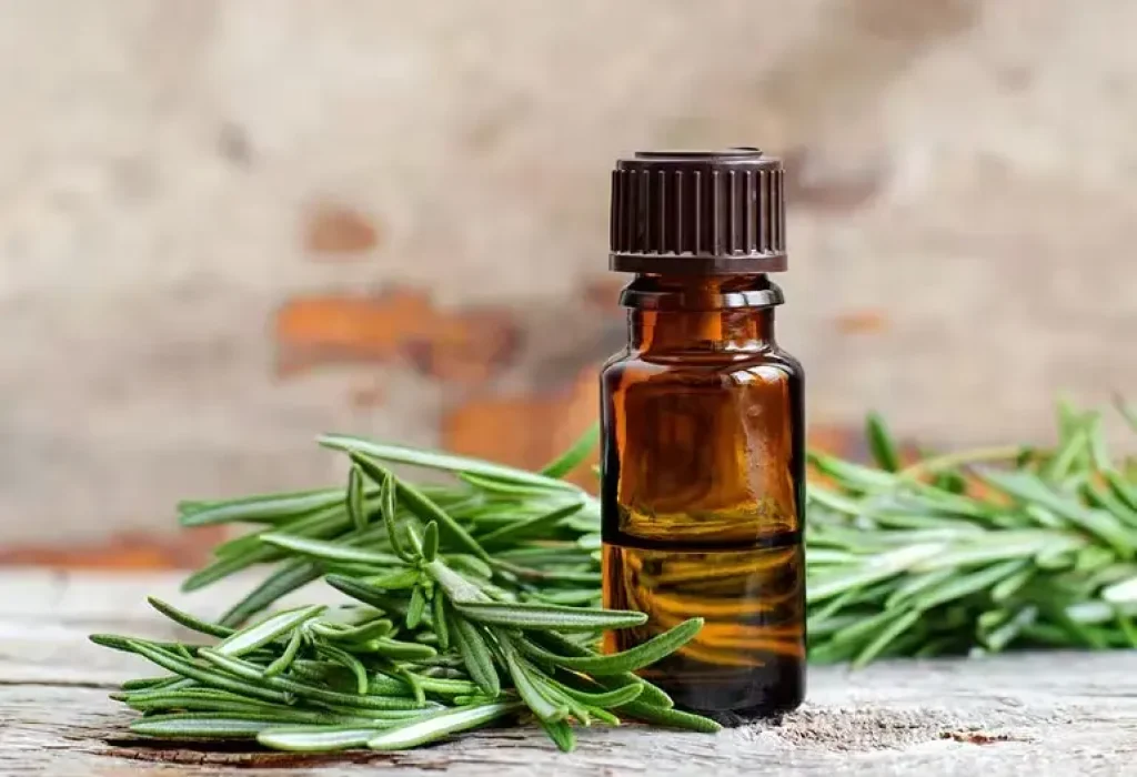 rosemary-hair-loss